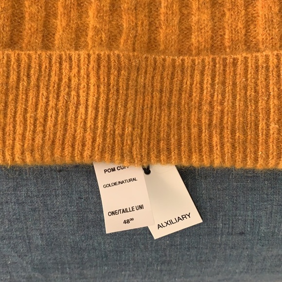 Aritzia Pom Pom Beanie - Picture 2 of 4